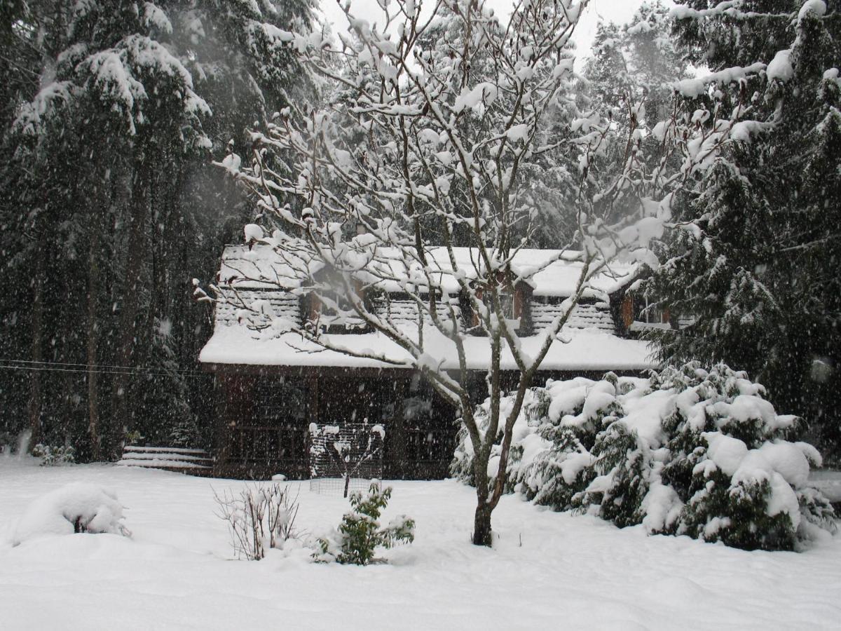 雪松之歌住宿加早餐旅馆 帕克斯维尔 外观 照片